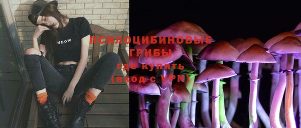 крисы Армянск