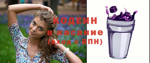 крисы Армянск